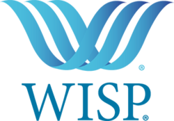 WISP Broom & Dustpan