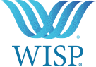 WISP Broom